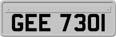 GEE7301