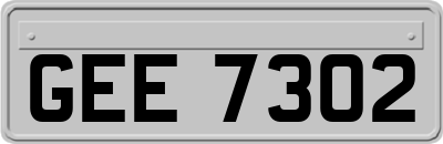 GEE7302