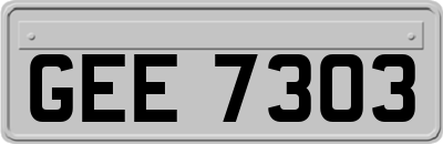 GEE7303