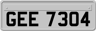 GEE7304