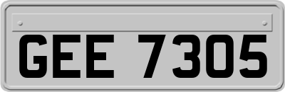 GEE7305