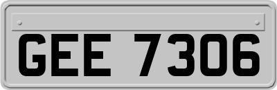 GEE7306