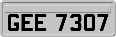 GEE7307
