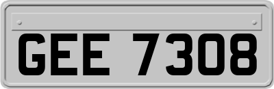 GEE7308