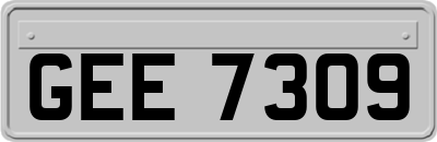 GEE7309