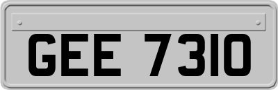 GEE7310