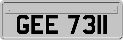 GEE7311