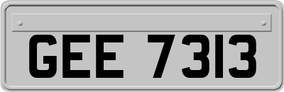 GEE7313