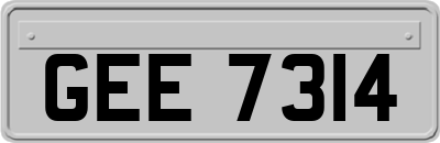GEE7314
