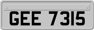 GEE7315