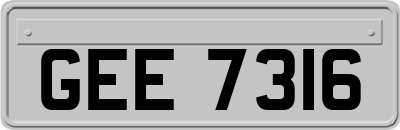 GEE7316