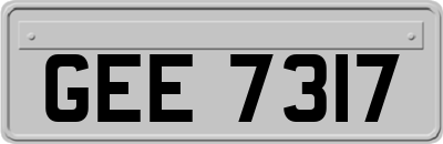 GEE7317