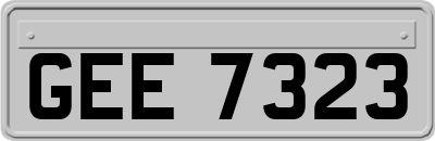 GEE7323