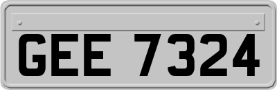 GEE7324