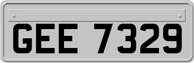GEE7329