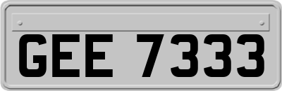 GEE7333