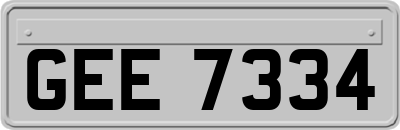 GEE7334