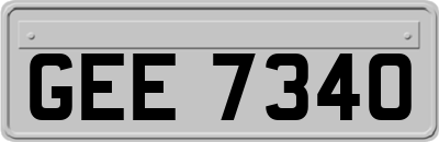 GEE7340