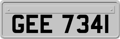 GEE7341
