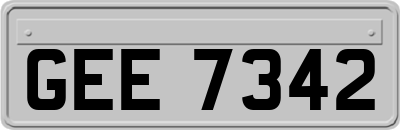GEE7342