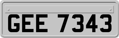GEE7343