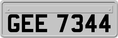 GEE7344