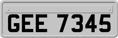 GEE7345