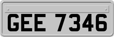 GEE7346