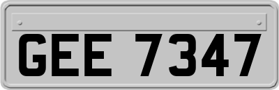 GEE7347