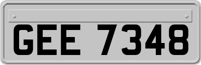 GEE7348