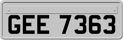 GEE7363