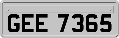 GEE7365
