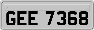 GEE7368