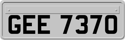 GEE7370