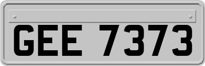 GEE7373