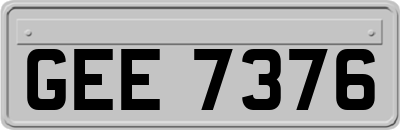 GEE7376