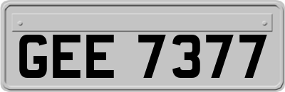 GEE7377