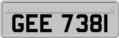 GEE7381
