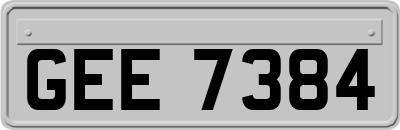 GEE7384