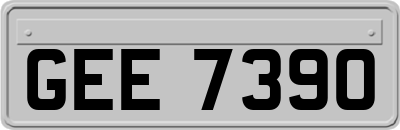 GEE7390