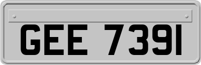 GEE7391
