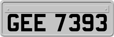 GEE7393