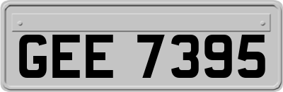 GEE7395