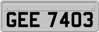 GEE7403