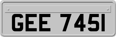 GEE7451