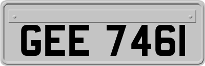 GEE7461