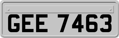 GEE7463