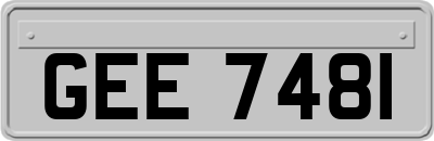 GEE7481