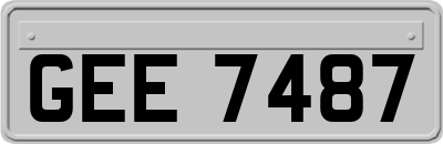 GEE7487