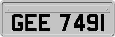GEE7491